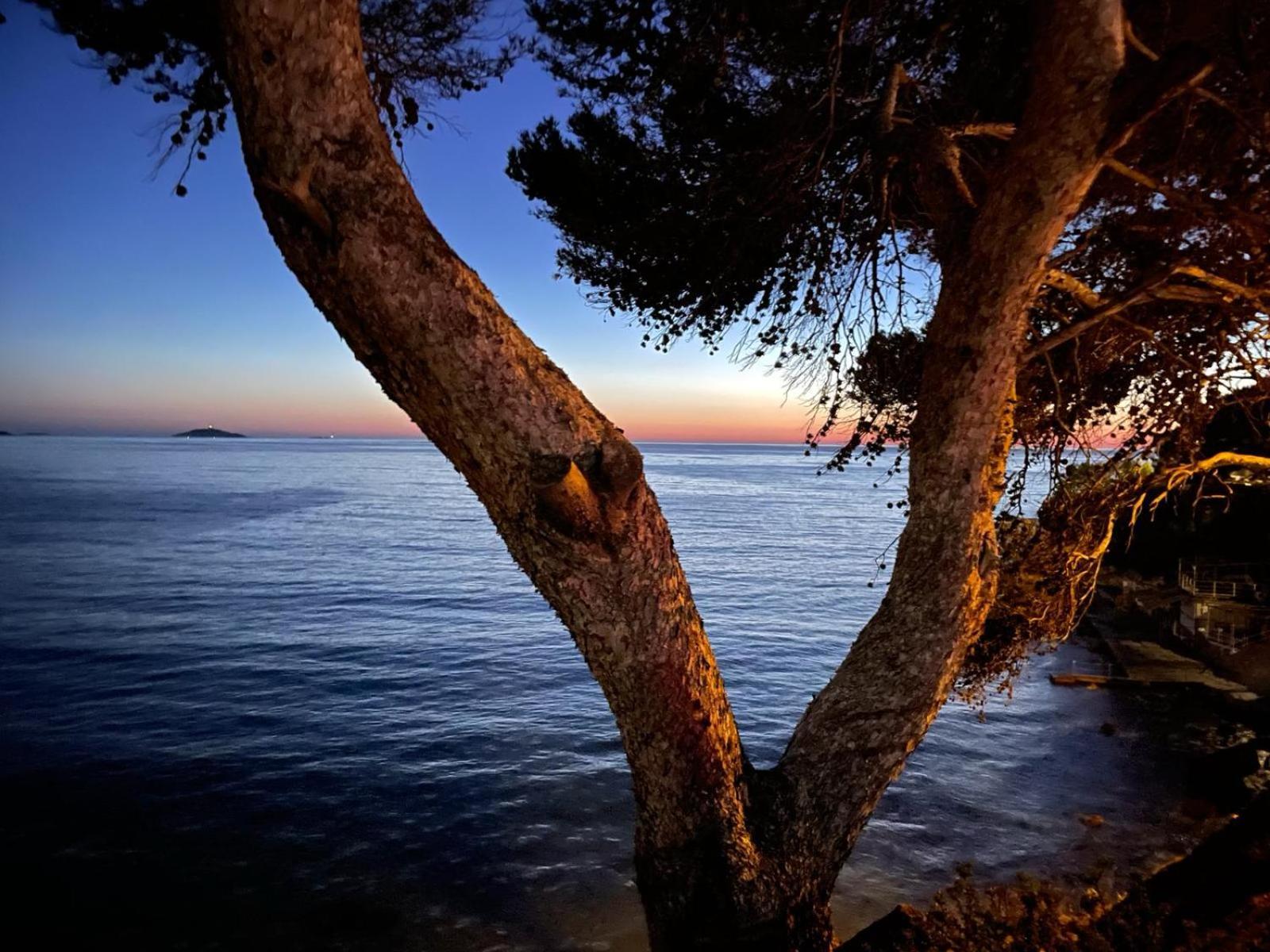 Vacances Bord De Mer - Appartement Sanary Sur Mer Exteriör bild